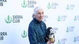 Remembering Jane Goodall: A legacy of chimpanzee conservation and environmental advocacy