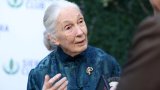 Jane Goodall, the gentle disrupter whose research redefined what it meant to be human