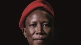 Malema exposed: New book on EFF leader lifts the lid on R21. 6 million property empire hidden from Parliament