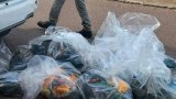 Metro police seize over R1. 1 million in counterfeit Springbok merchandise