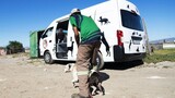 Animal Rescue Organisation staff attacked during community outreach in Philippi