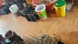 Urgent call for stricter regulations to combat the illicit alcohol trade