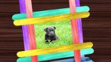 DIY Gifts: Make a popsicle picture frame, memory game, and herb planter
