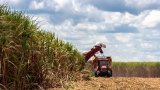 BRICS+ Series: São Paulo’s Agribusiness Exports Lead and Close Q1 2025