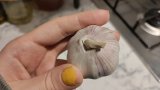 I Just Learned Why Some Garlic Is Purple, And Now I'll Check Every Time