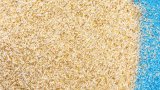 Let's Settle This: Is Psyllium Husk Really 'Nature's Ozempic'?