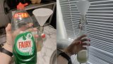 I Tried Reddit's Vinegar Hack To Banish Flies, And I'll Never Buy Traps Again