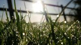 Millions Of UK Gardeners Warned To Stop Using This Watering Technique By Friday