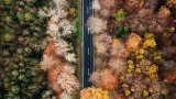 Today In 'At This Point, Sure' – Turns Out Earth's Seasons Are Out Of Sync