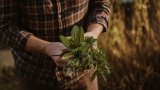 2 Tricks Chefs Use To Make Fresh Herbs Last For 'Weeks'