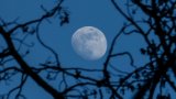 These May Be The Best (And Worst) Bedtimes For Heart Health