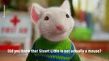 Hold up, Stuart Little isn't a mouse?