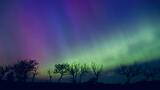 The Northern Lights Are Set To Light Up Our Skies A Lot More In 2026