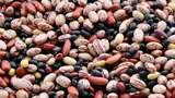 Ask A Nutritionist: Which Bean Is Best For Us?