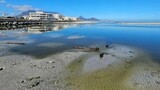 Milnerton Lagoon air quality remains safe, confirms City monitoring