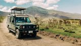 Family-friendly safaris in Pilanesberg - what to know before you go