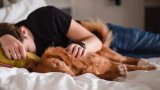 Is it bad to let my pet sleep in my bed?