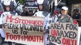 ‘We need vaccines now’: Fed-up farmers protest Foot-and-Mouth crisis ahead of SONA