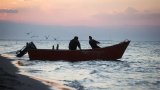 BRICS+ Series: Iran’s Aquaculture Ambitions And The Opening for BRICS Development Finance