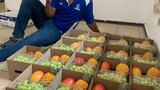 How a Stellenbosch med student went viral selling fruit parcels to fund his stethoscope