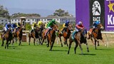 Experience Cape Town's Summer Festival of Racing: A Cultural Hub Beyond the Track