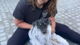 Lost for over a decade: How a microchip reunited a dog with his new family
