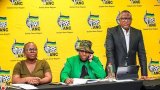Reconfigured ANC W Cape outlines plans to revive the party