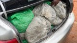 Mpumalanga man arrested with R600 000 worth of dagga