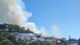 Vegetation fire contained on Signal Hill: What you need to know