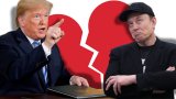 TIMELINE | From besties to frenemies: Donald Trump and Elon Musk