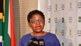 Theft of pills hurts your cause, Ntshavheni tells foreigners after fatal bus crash