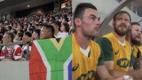 Watch: Bench cheers Boks to victory