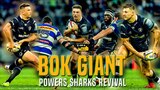 Keo & Zels: Bok giant powers Sharks revival
