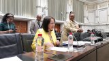 Sparks fly in parliament over De Lille's dissolution of SA Tourism board