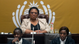 Speaker asks portfolio committees to investigate allegations against Mchunu