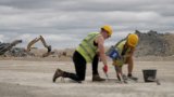 WATCH | Dinosaur footprints stretching more than 198m found in the UK