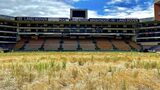 Newlands sale in limbo