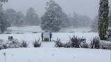 Australian towns blanketed with rare snow in wild weather