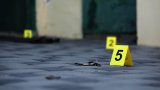 25-year-old man hacks mother to death in brutal shovel attack caught on video