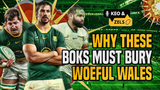 Keo & Zels: Why these Boks must bury woeful Wales