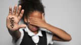 Teddy Bear Foundation takes education department to court over child protection failures