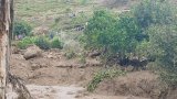 More than 1,000 killed as landslide wipes out Sudanese village