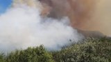 News24 | Firefighters battle Stellenbosch mountain fire for a second day