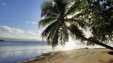 Exploring Fiji by Car: My First Car Rental Experience