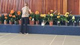 Vibrant clivia plants thrill visitors at annual show