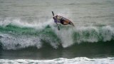 Viaene targets home advantage in Reef Royalty International