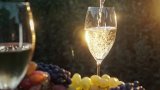Wild Coast Cap Classique festival set to pop