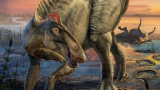 Wyoming dinosaur ‘mummies’ reveal a surprise: hoofed feet