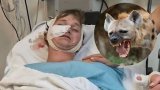 The fishing is too good: KZN man mauled by hyenas 'will return to Cape Vidal campsite'