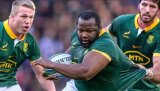 NO OX: Springboks forced to make late change ahead of Argentina showdown